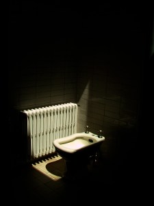 Ville Savoye, Poissy summer 2010