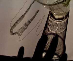 Scheveningen, June 2011