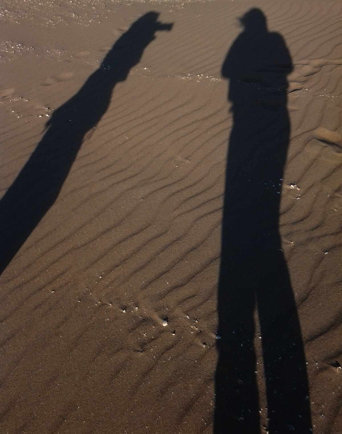 Scheveningen, summer 2011