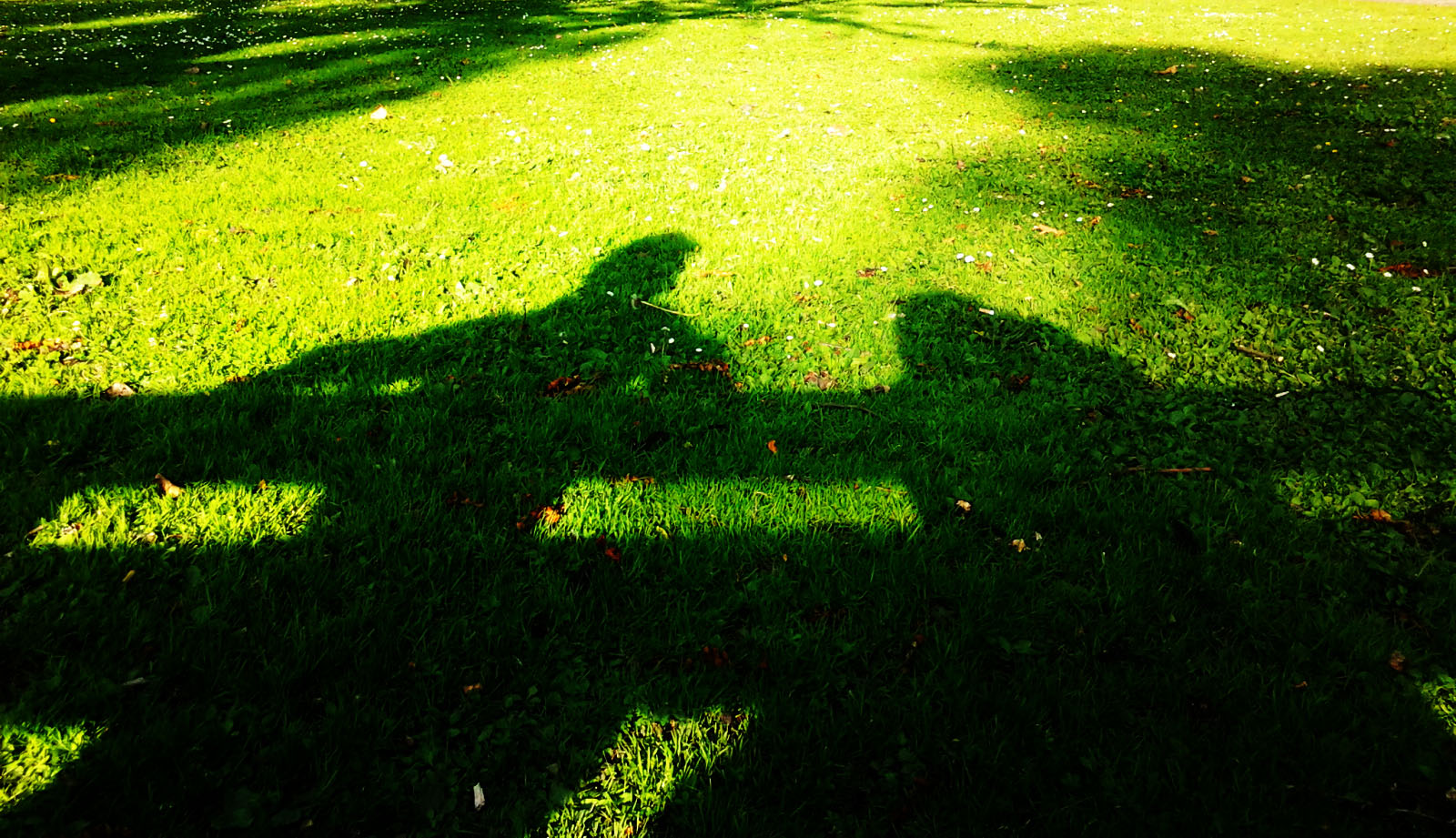 Rotterdam, June 2011